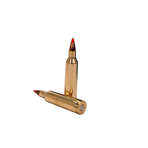 Fiocchi .22-250 Remington - RTP Armor