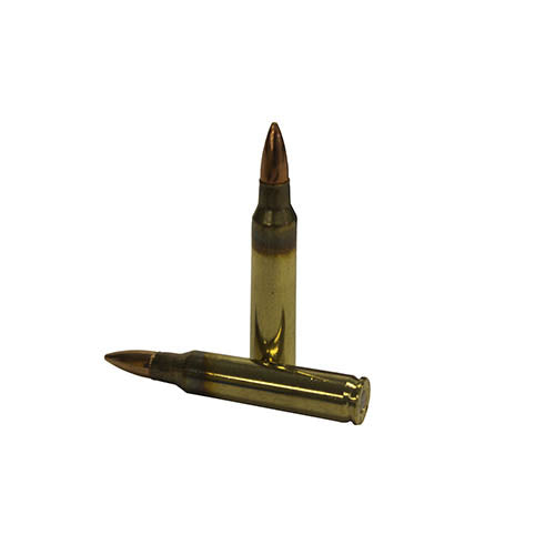 Winchester  5.56x45mm NATO - RTP Armor